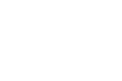 Digital Wallonia logo